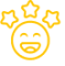 icon_cumplimient